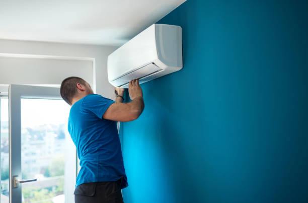 Best Local HVAC companies  in Detroit Beach, MI